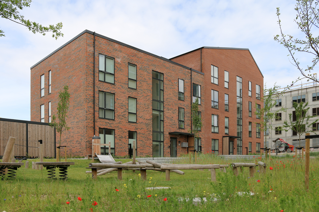 Cikoriehaven, Nærheden