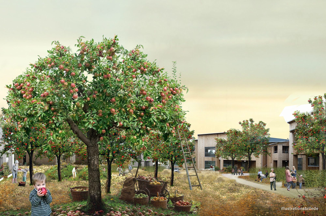 Æbleløkkerne, Rønne